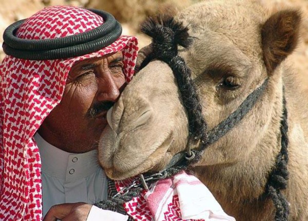 camelkissing