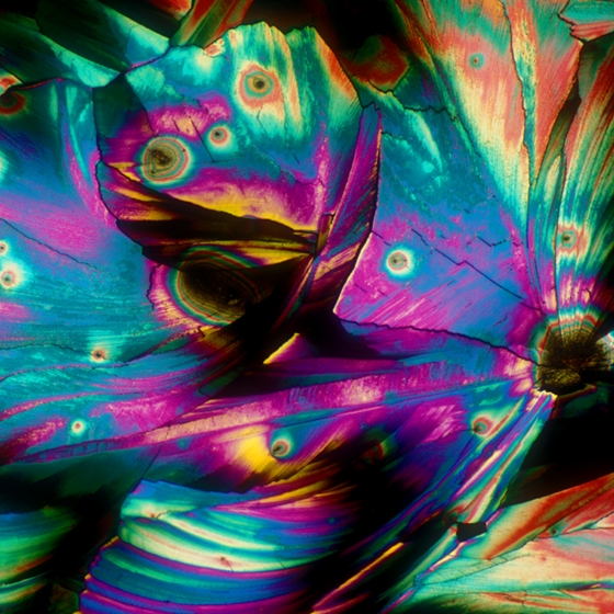 Mikroszkópos képek kedvenc italainkról és koktéljainkról