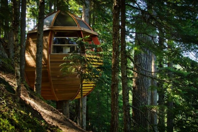 hidden-treehouse