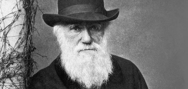 Darwin plagizált, így félrevezetve a nagyérdeműt?