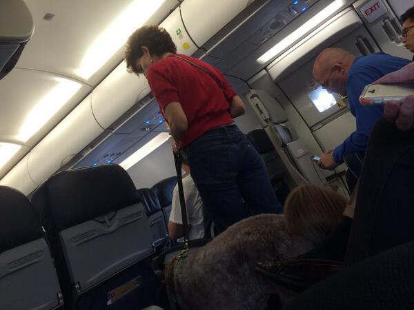 3 x végezte el nagydolgát a kutya az utasszállító repülőn. Kényszerleszállás lett a vége...