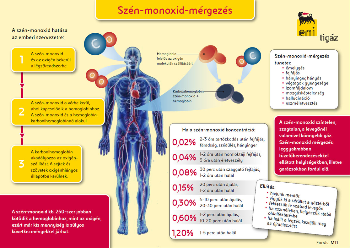 Többen rosszul lettek egy vecsési raktárban szén-monoxid-mérgezés miatt