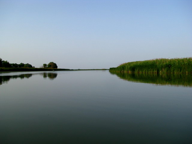 Negyvenmillió forint értékű halat telepítenek az idén a Tisza-tóba