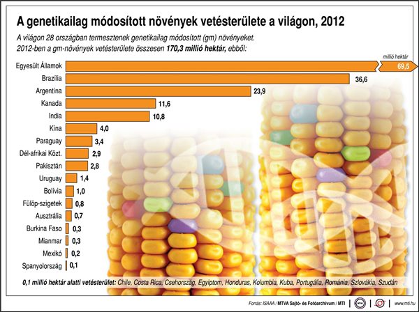 A genetikailag módosított növények vetésterülete a világon, 2012