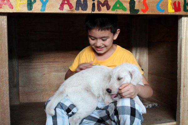 Kutya menhelyet nyitott a kilenc éves kisfiú