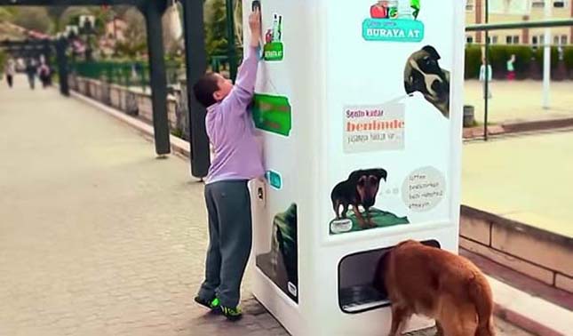 Egy remek török találmány az éhező kutyák segítésére - videó