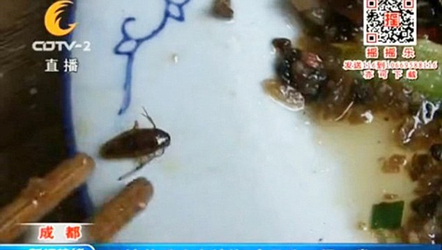 VIDEO Waitress Stuns Guest By Eating Cockroach Evidence