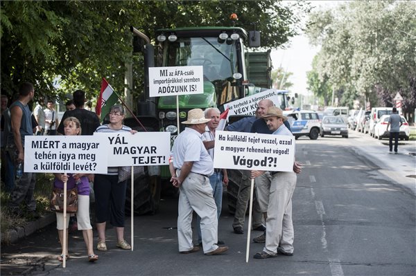 Tejtermelők demonstrációja - Pécs
