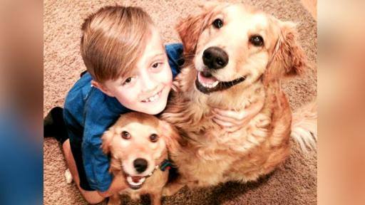 Kutyákat ment a 9 éves kisfiú, aki nem kért semmit a születésnapjára