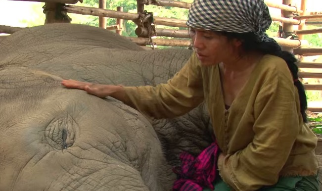 Videó: Tüneményes elefánt, aki a gondozója altató dalára alszik el 