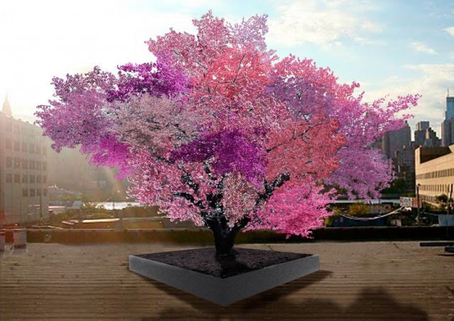 Egy fa, amiről 40 fajta gyümölcsöt ehetsz
