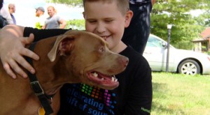 Family pit bull credited for saving teen's life during house fire