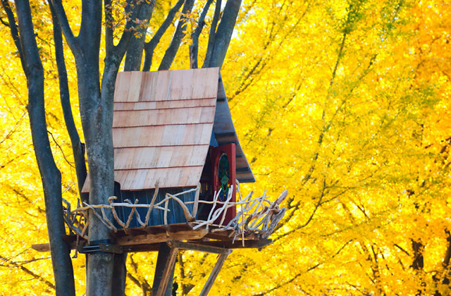 Élet a fák tetején: elképesztő lombházak a világ különböző pontjairól 