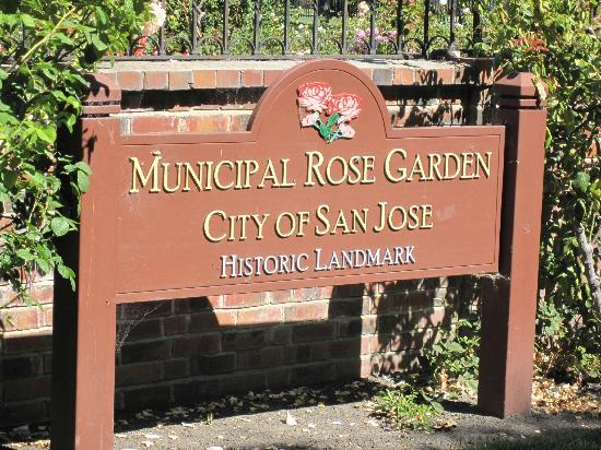 municipal-rose-garden