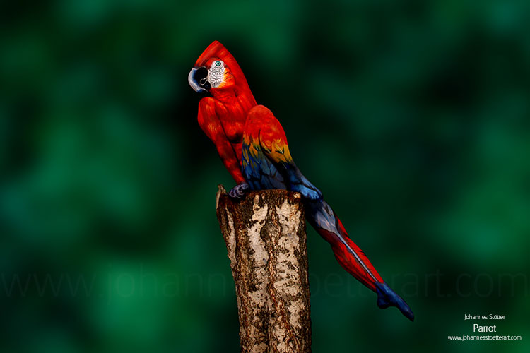 Zseniális alkotás: papagáj, vagy test festett nő? 