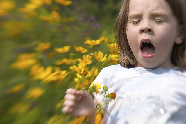 Pollenhelyzet - Több allergén növény okozhat tüneteket a következő napokban