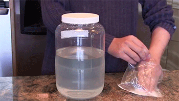 tumblr_n8fwvaGjM01rc7zl1o1_400