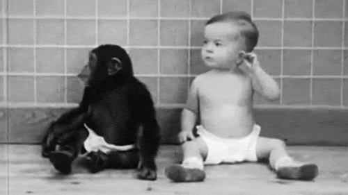 Így neveltek együtt egy kisbabát és csimpánzbébit egy 1932-es kísérletben! – videó