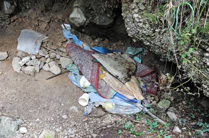 17029262_MGTHUMB-INTERNA