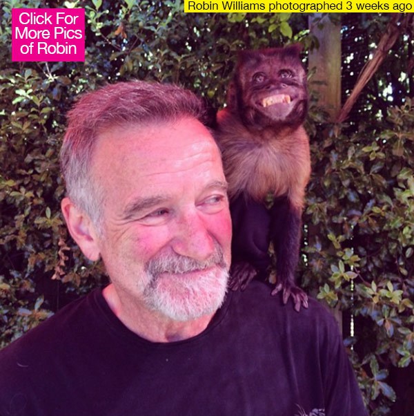 Robin Williams utolsó fotója egy majommal
