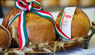 Magyarok kenyere - Több mint 170 tonna búza gyűlt össze