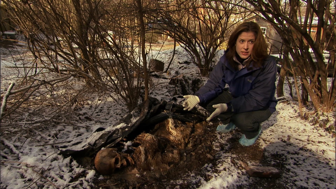 A világ legbizarrabb mesterségei, amitől felfordul a gyomrod