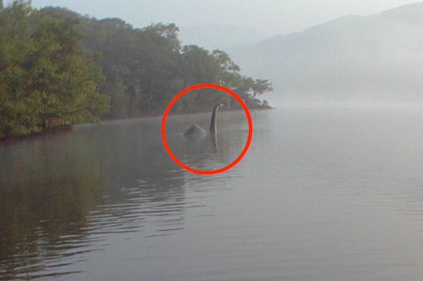 Lencsevégre kapták a Loch Ness-i szörnyet? – fotó