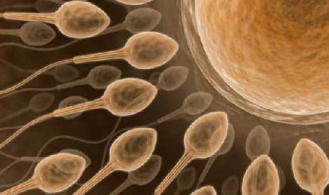 Elképesztő eredmények születtek a spermiumról a nők és férfiak javára – 18+