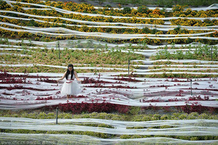 4100 méter hosszú és 1,5 méter széles a világ leghosszabb esküvői ruhája