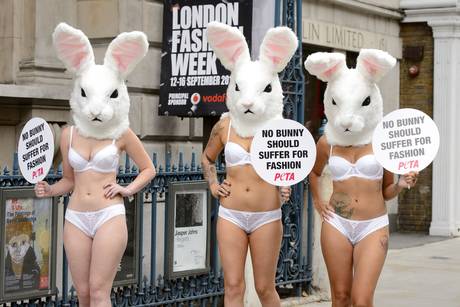 Szexi nyuszikkal kampányolt a PETA Londonban