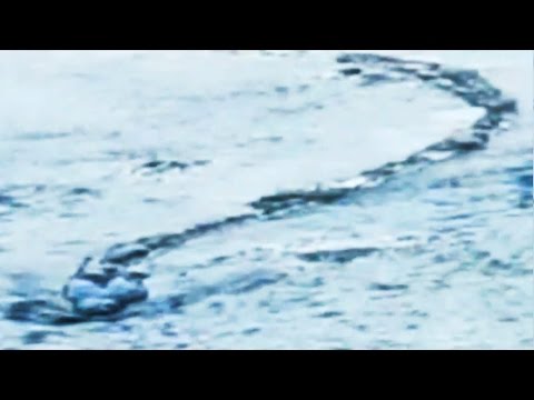Hivatalosan is igazi az izlandi tóban élő szörny! – videó