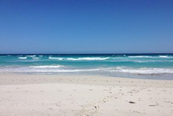 Cápatámadásban mindkét kezét elvesztette egy ausztrál szörföző