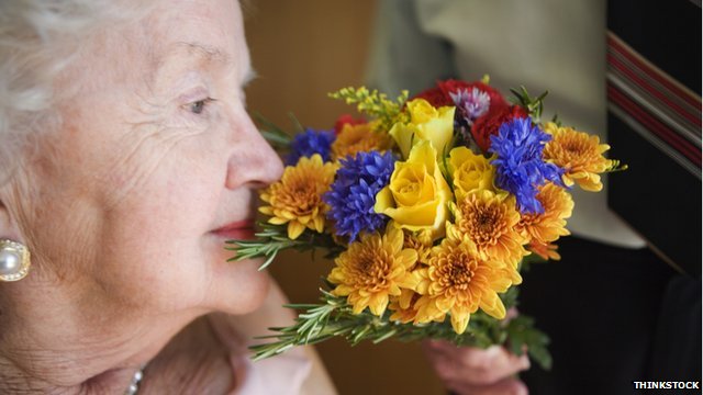 A szaglás élessége megjósolhatja a várható élettartamot