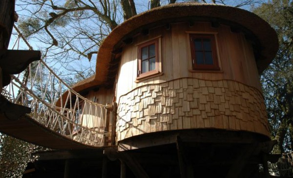 BlueForest_TreeHouse_Living_the_Highlife_4_gallery-image