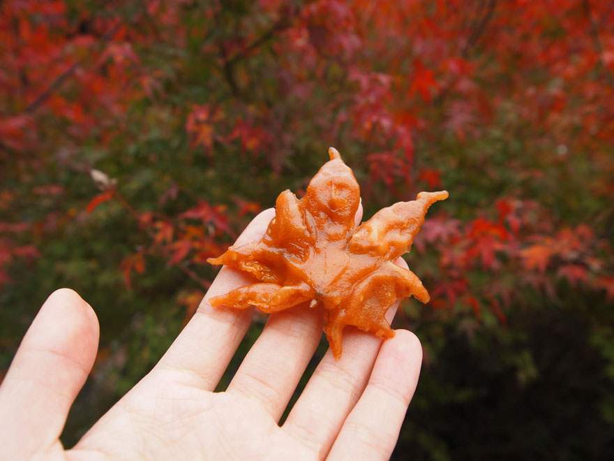 japanese-fried-maple-leaf-tempura-2