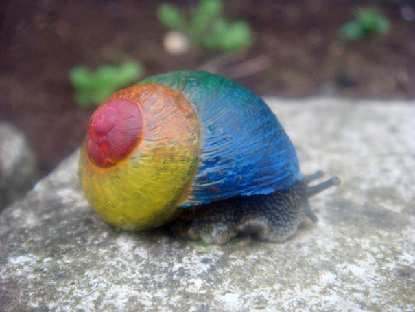 painted-snail-shell-2