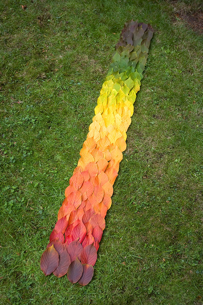 rainbow-color-change-nature-116__700