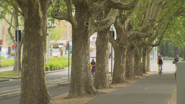 tree_injections_1a33r7h-1a33r7n