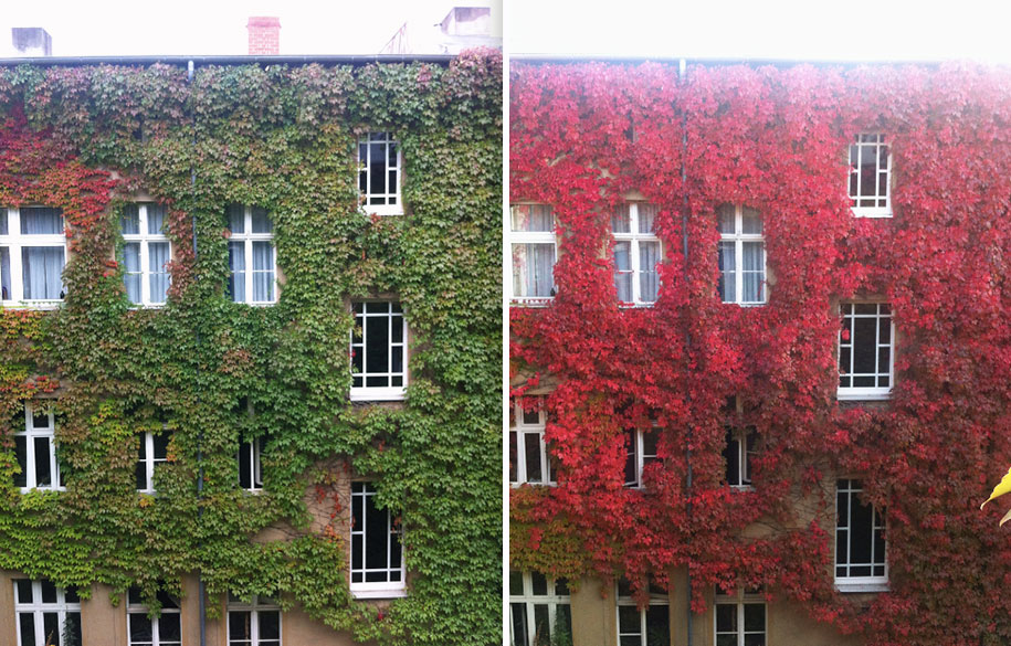 [www.demilked.com] autumn-before-and-after-nature-photography-7