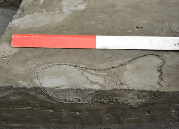 Kőkorszaki fanyelű baltát találtak Dániában