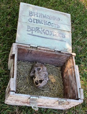 Vérfarkas koponyát talált egy farmer Macedóniában? - fotók