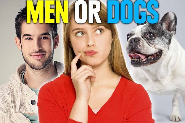 Válasz elé állították a nőket: pasi, vagy kutya? – videó