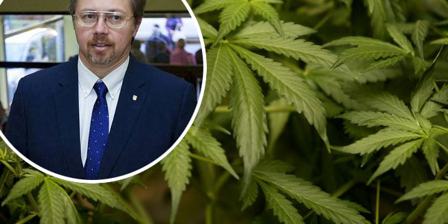 A gyógyászati célú marihuána legalizálására készül Horvátország