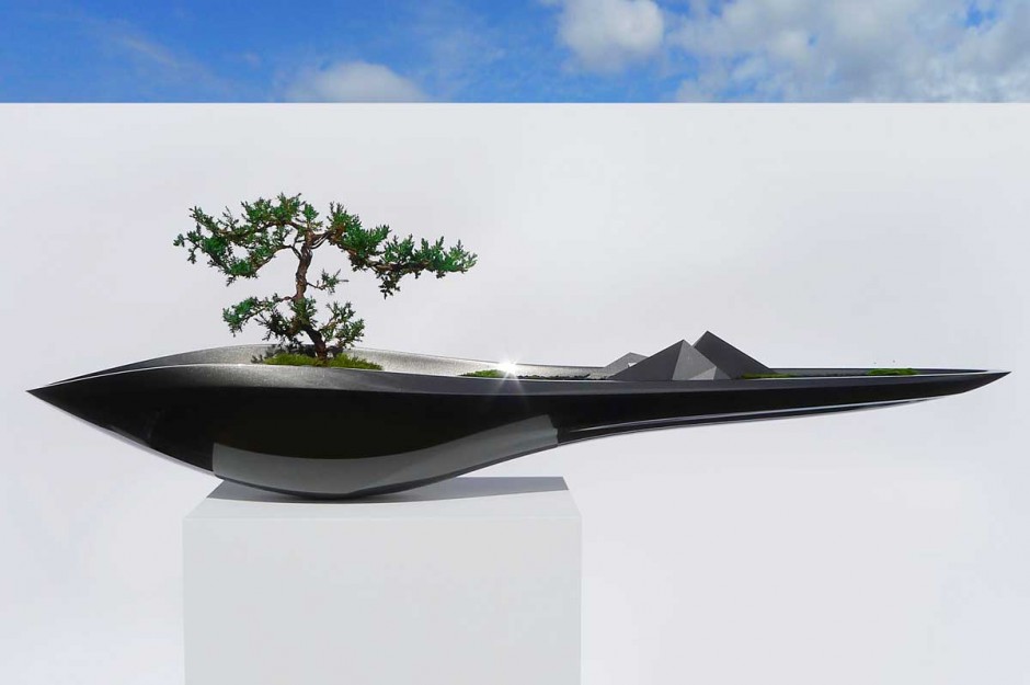 Elegáns bonsai a sebesség dinamikájával