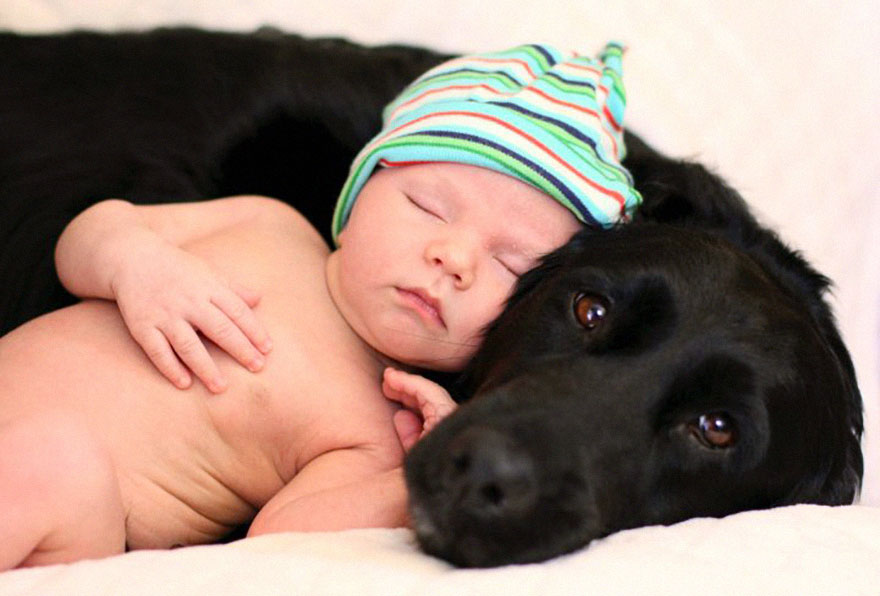 small-babies-children-big-dogs-301__880