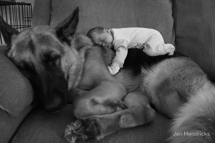 small-babies-children-big-dogs-32__880