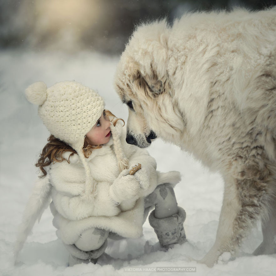 small-babies-children-big-dogs-61__880