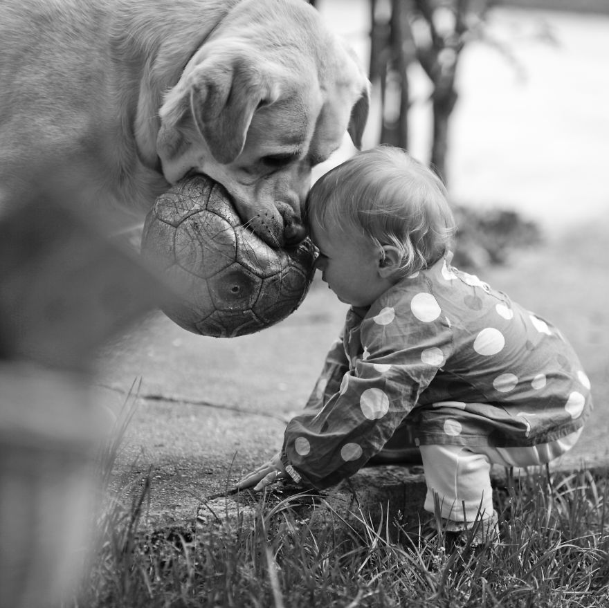 small-babies-children-big-dogs-64__880