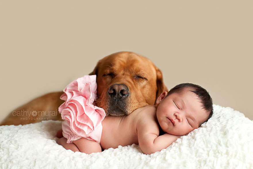 small-babies-children-big-dogs-9__880