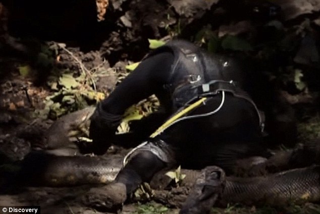 Ez történt a férfival, aki lenyelette magát egy anakondával! – videó